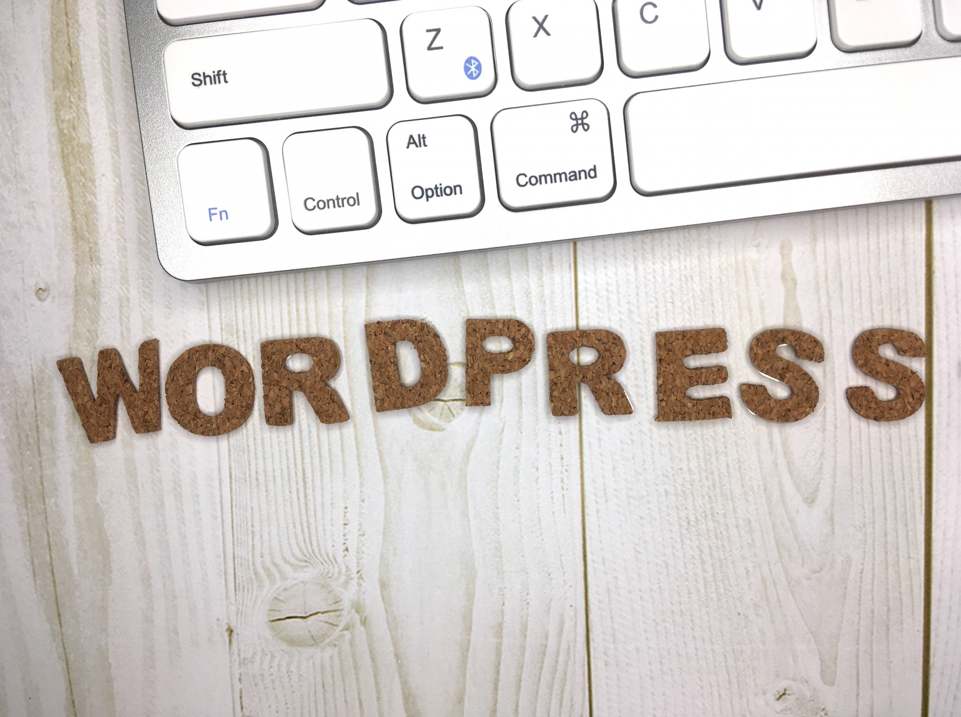 サイト制作(WordPress)